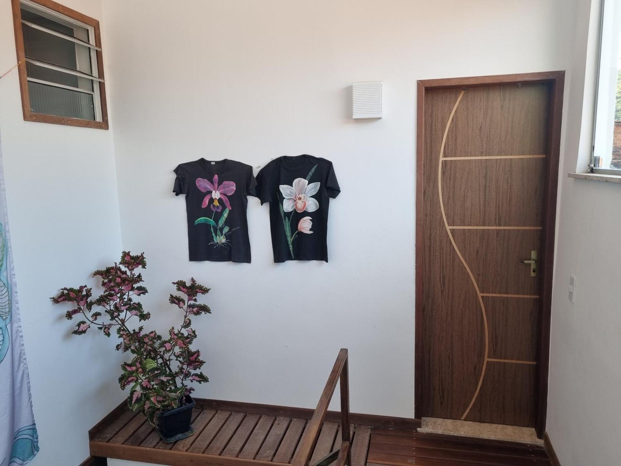 伦索伊斯Casa Alma Criativa公寓 外观 照片